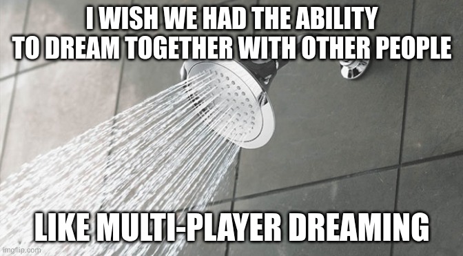 Shower Thoughts | I WISH WE HAD THE ABILITY TO DREAM TOGETHER WITH OTHER PEOPLE; LIKE MULTI-PLAYER DREAMING | image tagged in shower thoughts | made w/ Imgflip meme maker