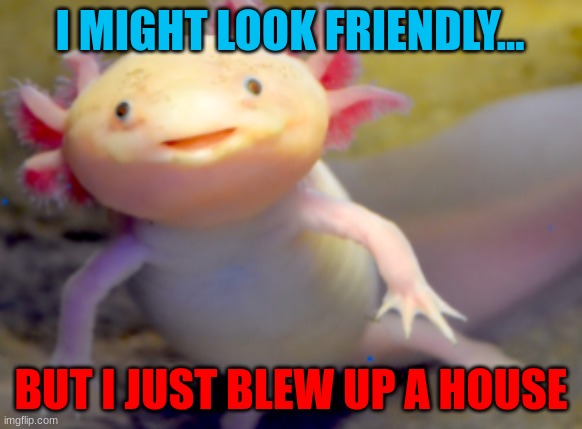 Axolotl | I MIGHT LOOK FRIENDLY... BUT I JUST BLEW UP A HOUSE | image tagged in boom | made w/ Imgflip meme maker