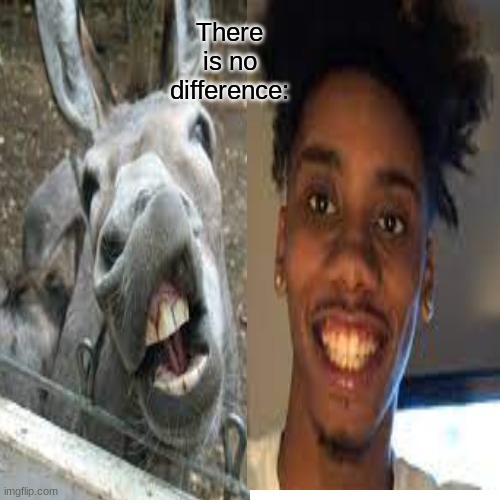 Eli Mack lookin like a donkey |  There is no difference: | image tagged in donkey,lol | made w/ Imgflip meme maker