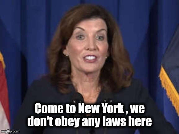 Kathy Hochul | Come to New York , we don't obey any laws here | image tagged in kathy hochul | made w/ Imgflip meme maker