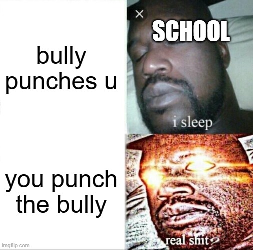 Sleeping Shaq |  SCHOOL; bully punches u; you punch the bully | image tagged in memes,sleeping shaq | made w/ Imgflip meme maker