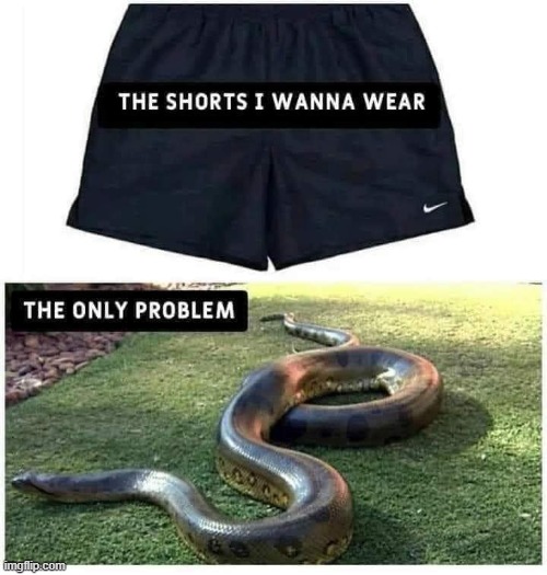 Its just not fair | image tagged in shorts,snake,problems | made w/ Imgflip meme maker