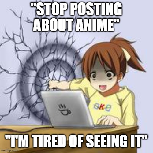 "STOP POSTING ABOUT ANIME" "I'M TIRED OF SEEING IT" | image tagged in anime wall punch | made w/ Imgflip meme maker