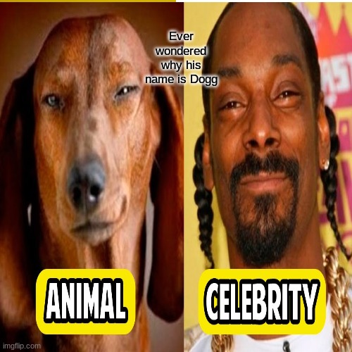 Ever wondered why his name is Dog | Ever wondered why his name is Dogg | image tagged in funny memes,snoop dogg | made w/ Imgflip meme maker