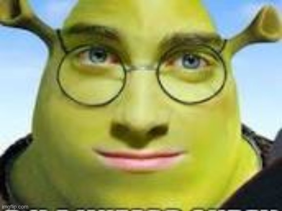 shrarry potter | image tagged in shrek | made w/ Imgflip meme maker