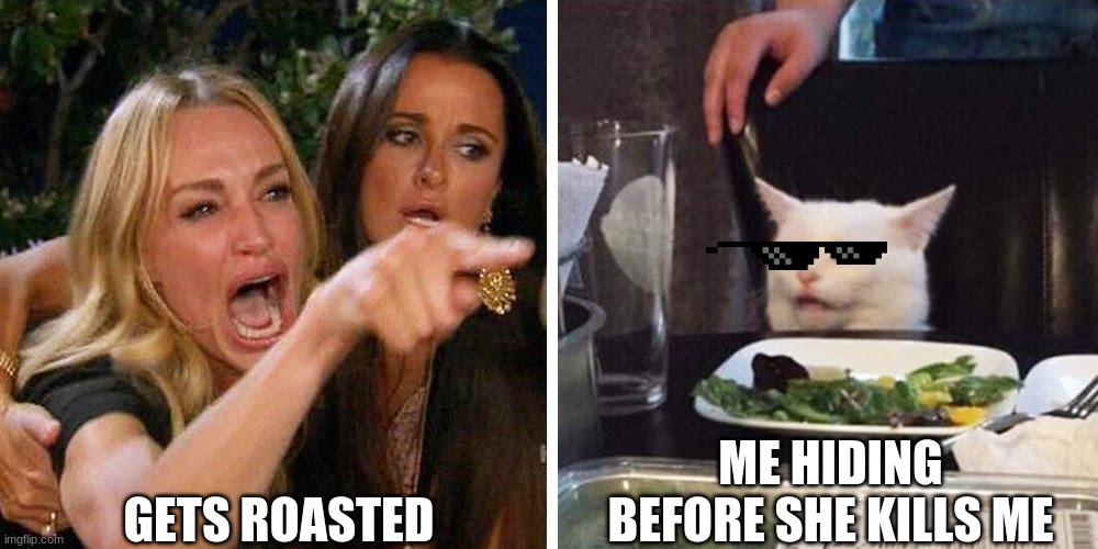 Smudge the cat | GETS ROASTED; ME HIDING BEFORE SHE KILLS ME | image tagged in smudge the cat | made w/ Imgflip meme maker