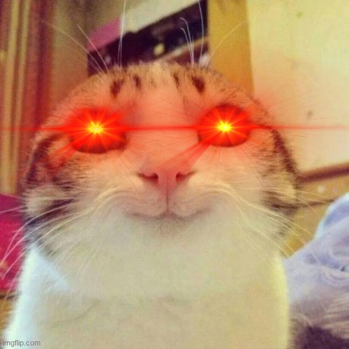 image tagged in smiling cat | made w/ Imgflip meme maker