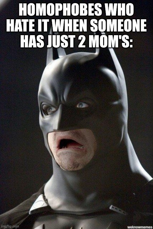 HOMOPHOBES WHO HATE IT WHEN SOMEONE HAS JUST 2 MOM'S: | image tagged in batman horrified | made w/ Imgflip meme maker