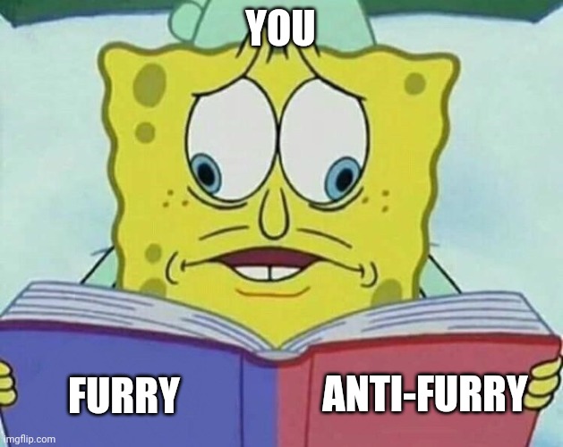 cross eyed spongebob | YOU FURRY ANTI-FURRY | image tagged in cross eyed spongebob | made w/ Imgflip meme maker