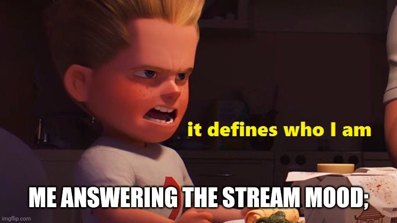 It defines who I am | ME ANSWERING THE STREAM MOOD; | image tagged in it defines who i am | made w/ Imgflip meme maker