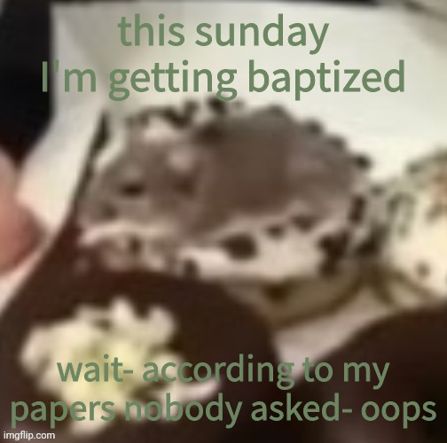 aww the mouse | this sunday I'm getting baptized; wait- according to my papers nobody asked- oops | image tagged in aww the mouse | made w/ Imgflip meme maker