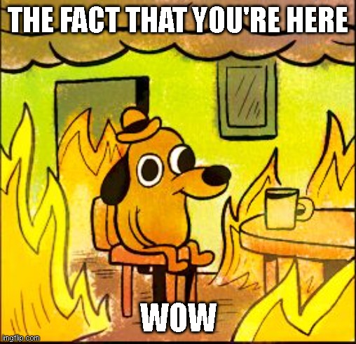 This is fine |  THE FACT THAT YOU'RE HERE; WOW | image tagged in this is fine | made w/ Imgflip meme maker
