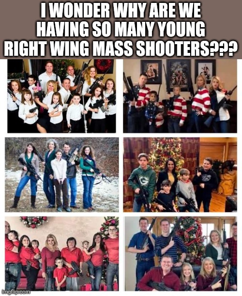 Ma guns | I WONDER WHY ARE WE HAVING SO MANY YOUNG RIGHT WING MASS SHOOTERS??? | image tagged in gun,mass shootings,conservatives,republican,trump supporter,gun control | made w/ Imgflip meme maker