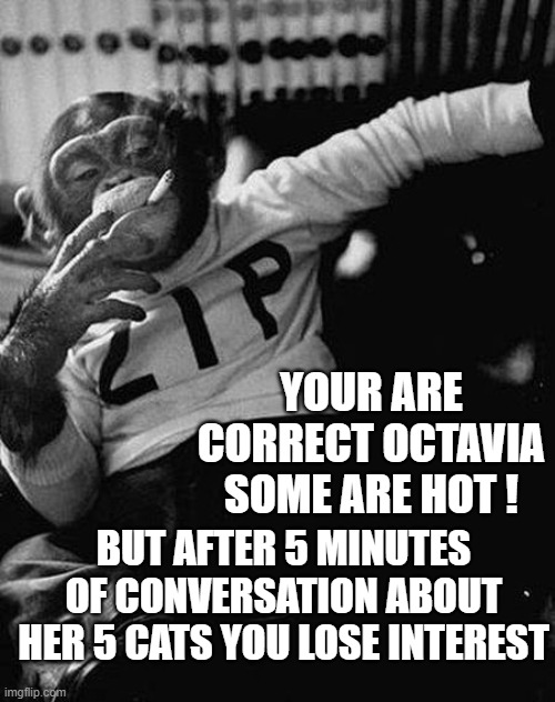Zip the Smoking Chimp | BUT AFTER 5 MINUTES OF CONVERSATION ABOUT HER 5 CATS YOU LOSE INTEREST YOUR ARE CORRECT OCTAVIA SOME ARE HOT ! | image tagged in zip the smoking chimp | made w/ Imgflip meme maker