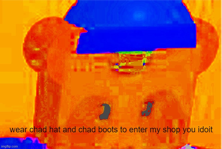 u wer cad bots ad hat u gt in ( did this misspelling on purpose ) | wear chad hat and chad boots to enter my shop you idoit | image tagged in bees,chad | made w/ Imgflip meme maker