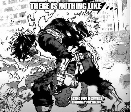 Damnn... | THERE IS NOTHING LIKE; <--LOSING YOUR LEGS WHILE
<-- FIGHTING YOUR SIBLING: | image tagged in my hero acedemia,spoilers,todoroki,dabi | made w/ Imgflip meme maker