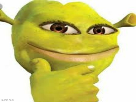 mmm yes | image tagged in shrek | made w/ Imgflip meme maker