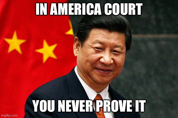 Xi Jinping | IN AMERICA COURT YOU NEVER PROVE IT | image tagged in xi jinping | made w/ Imgflip meme maker