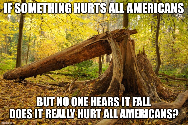 If a tree falls on Bobby & he hears it ?  Will Bobby go inside? | IF SOMETHING HURTS ALL AMERICANS BUT NO ONE HEARS IT FALL DOES IT REALLY HURT ALL AMERICANS? | image tagged in if a tree falls on bobby he hears it will bobby go inside | made w/ Imgflip meme maker