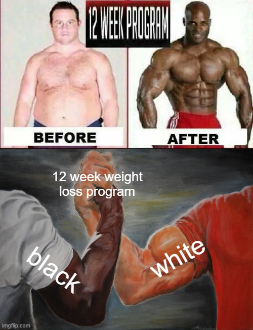 a program so good you change races | 12 week weight loss program; white; black | image tagged in memes,epic handshake | made w/ Imgflip meme maker
