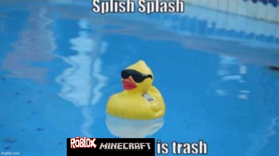 Duck | image tagged in splish splash,duck | made w/ Imgflip meme maker