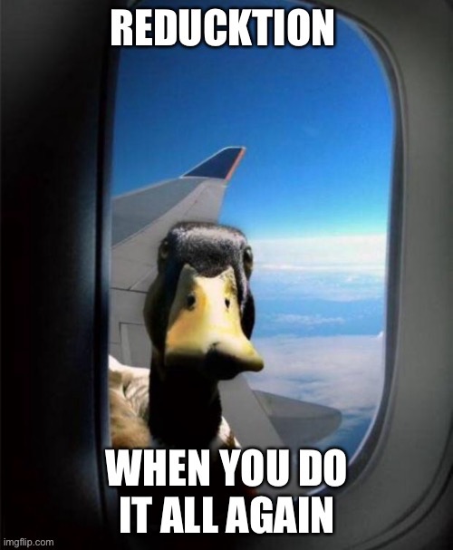 Reducktion | image tagged in reduction,duck,duck plane,duckface,excuse me duck | made w/ Imgflip meme maker