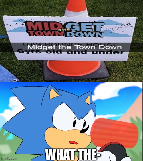 WHAT THE- | image tagged in sonic what am i reading,sign fail,memes | made w/ Imgflip meme maker