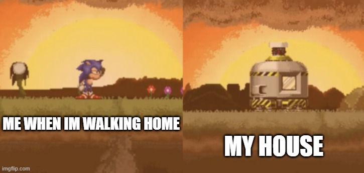 Sonic.EYX game with Sonic looking at something | ME WHEN IM WALKING HOME; MY HOUSE | image tagged in sonic eyx game with sonic looking at something | made w/ Imgflip meme maker