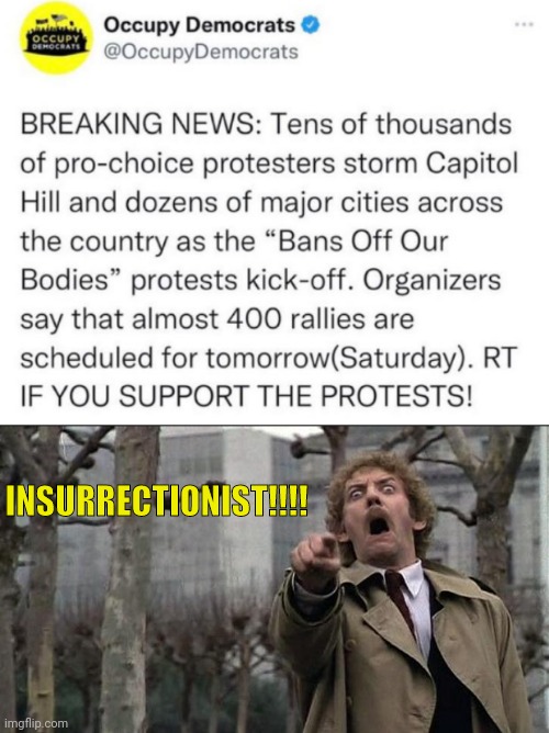 It's Okay When They Do It |  INSURRECTIONIST!!!! | image tagged in invasion of the body snatchers,democrats,hypocrisy,riots,treason | made w/ Imgflip meme maker
