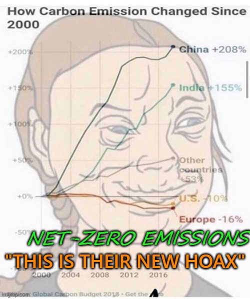 Net-Zero Emissions; "THIS IS THEIR NEW HOAX" | "THIS IS THEIR NEW HOAX"; NET-ZERO EMISSIONS | image tagged in carbon footprint | made w/ Imgflip meme maker