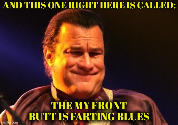 AND THIS ONE RIGHT HERE IS CALLED:; THE MY FRONT BUTT IS FARTING BLUES | image tagged in steven seagal,funny,music,guitar god | made w/ Imgflip meme maker