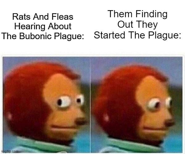 Monkey Puppet | Rats And Fleas Hearing About The Bubonic Plague:; Them Finding Out They Started The Plague: | image tagged in memes,monkey puppet | made w/ Imgflip meme maker