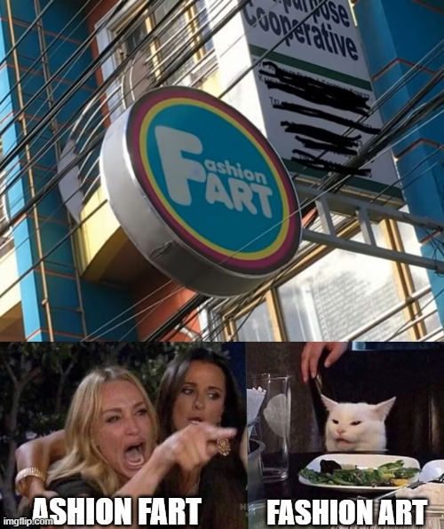 ASHION FART; FASHION ART | image tagged in woman yelling at cat | made w/ Imgflip meme maker
