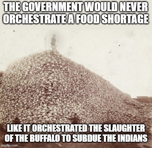 Food Shortages and Government |  THE GOVERNMENT WOULD NEVER ORCHESTRATE A FOOD SHORTAGE; LIKE IT ORCHESTRATED THE SLAUGHTER OF THE BUFFALO TO SUBDUE THE INDIANS | image tagged in politics | made w/ Imgflip meme maker