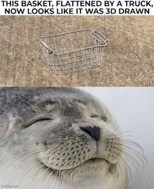 3d basket | image tagged in memes,satisfied seal,blessed image | made w/ Imgflip meme maker