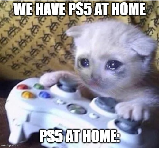 Sad gaming cat | WE HAVE PS5 AT HOME; PS5 AT HOME: | image tagged in sad gaming cat | made w/ Imgflip meme maker
