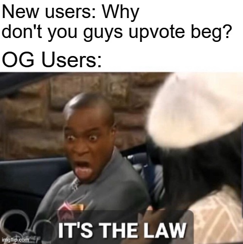 Must Follow Laws | image tagged in it's the law,upvote begging,memes | made w/ Imgflip meme maker