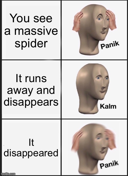 It disappeared | You see a massive spider; It runs away and disappears; It disappeared | image tagged in memes,panik kalm panik,spiders | made w/ Imgflip meme maker