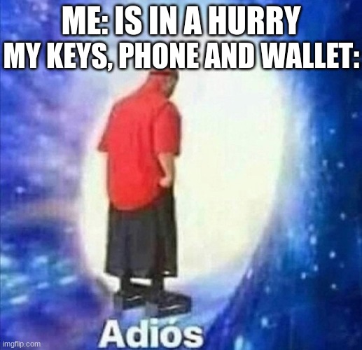 Adios | ME: IS IN A HURRY; MY KEYS, PHONE AND WALLET: | image tagged in adios,dankmemes,bruh,bye,funny memes,fun | made w/ Imgflip meme maker