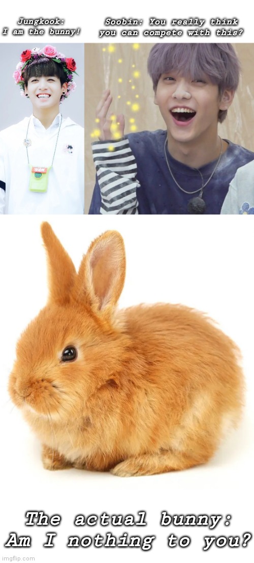  Soobin: You really think you can compete with this? Jungkook: I am the bunny! The actual bunny: Am I nothing to you? | image tagged in bts,txt,bunny | made w/ Imgflip meme maker
