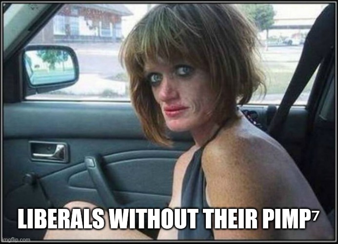 Ugly meth heroin addict Prostitute hoe in car | LIBERALS WITHOUT THEIR PIMP⁷ | image tagged in ugly meth heroin addict prostitute hoe in car | made w/ Imgflip meme maker