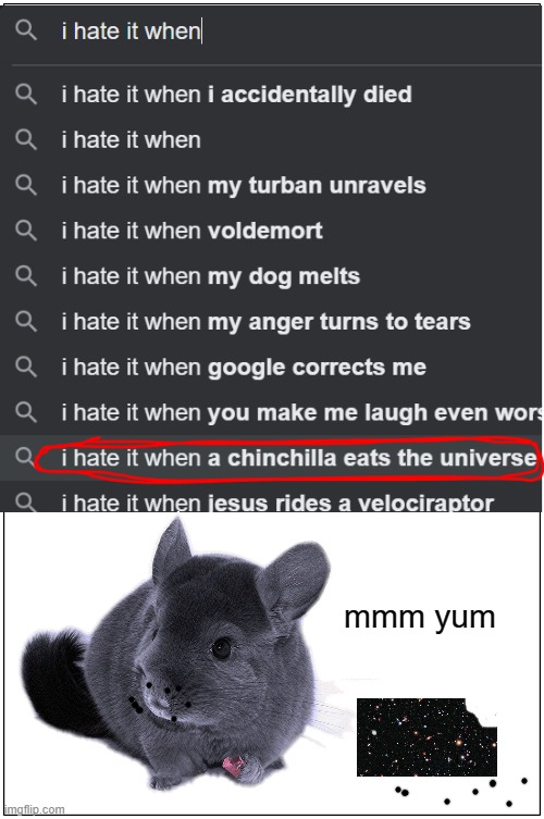 "I hate it when a chinchilla easts the universe" | mmm yum | image tagged in memes,i hate it when | made w/ Imgflip meme maker
