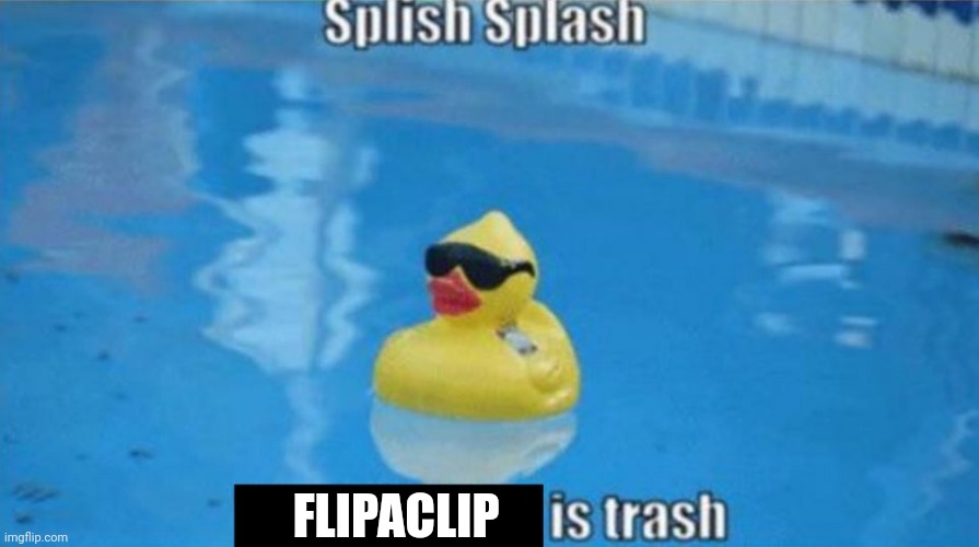 Duck | FLIPACLIP | image tagged in splish splash,duck | made w/ Imgflip meme maker