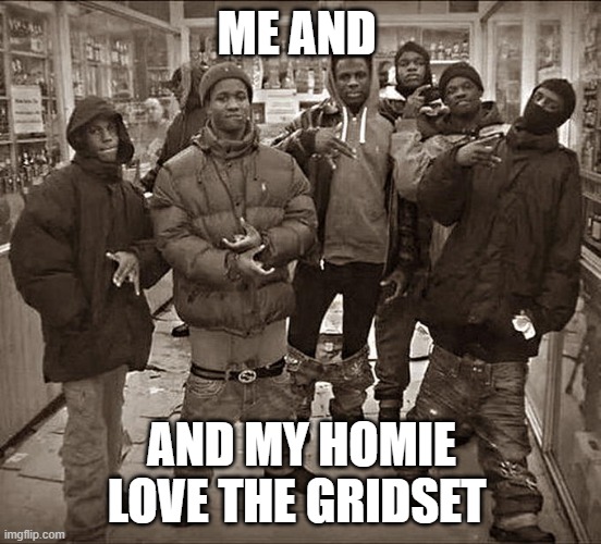 All My Homies Hate | ME AND; AND MY HOMIE LOVE THE GRIDSET | image tagged in all my homies hate | made w/ Imgflip meme maker