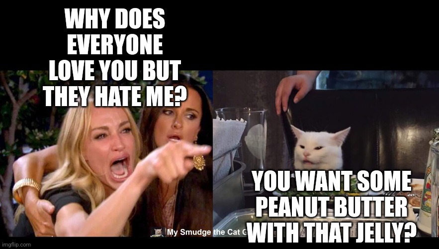 WHY DOES EVERYONE LOVE YOU BUT THEY HATE ME? YOU WANT SOME PEANUT BUTTER WITH THAT JELLY? | image tagged in smudge the cat,woman yelling at cat | made w/ Imgflip meme maker