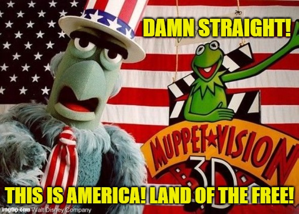 DAMN STRAIGHT! THIS IS AMERICA! LAND OF THE FREE! | made w/ Imgflip meme maker