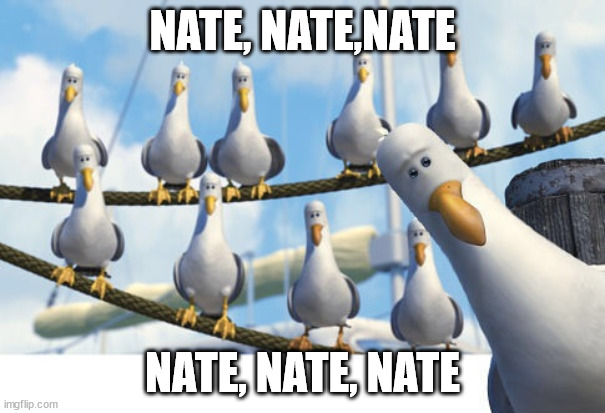 Nate, Nate, Nate | NATE, NATE,NATE; NATE, NATE, NATE | image tagged in finding nemo seagulls | made w/ Imgflip meme maker