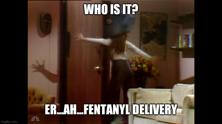 Land Shark | WHO IS IT? ER...AH...FENTANYL DELIVERY | image tagged in land shark | made w/ Imgflip meme maker