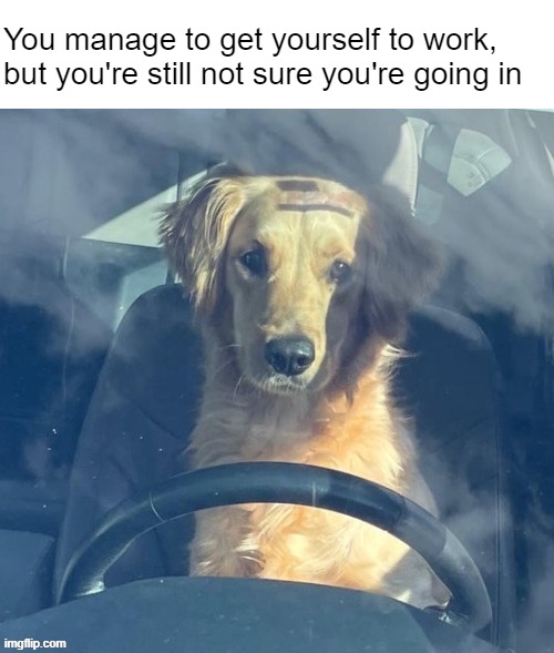 Cheryl's going to be in a mood, I just know it | You manage to get yourself to work, but you're still not sure you're going in | image tagged in work,memes,dog | made w/ Imgflip meme maker