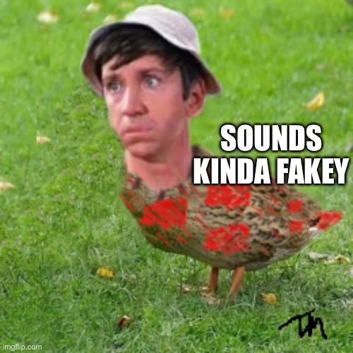 Gilliduck | SOUNDS KINDA FAKEY | image tagged in gilliduck | made w/ Imgflip meme maker